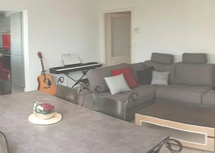 Chambre #2 Dans Appartement Partage - Proche Des Vosges